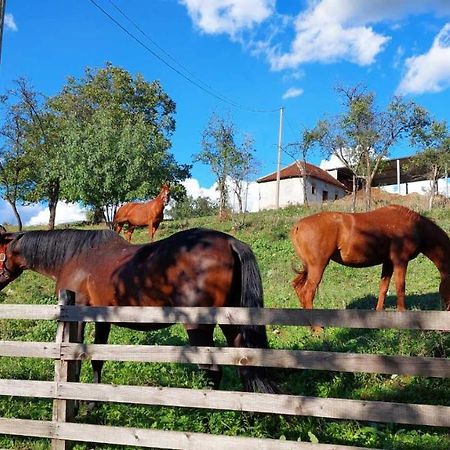 ヴァリェヴォPoljoprivredno Turisticko Domacinstvo Deguricアパートメント エクステリア 写真
