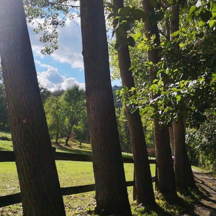 ヴァリェヴォPoljoprivredno Turisticko Domacinstvo Deguricアパートメント エクステリア 写真