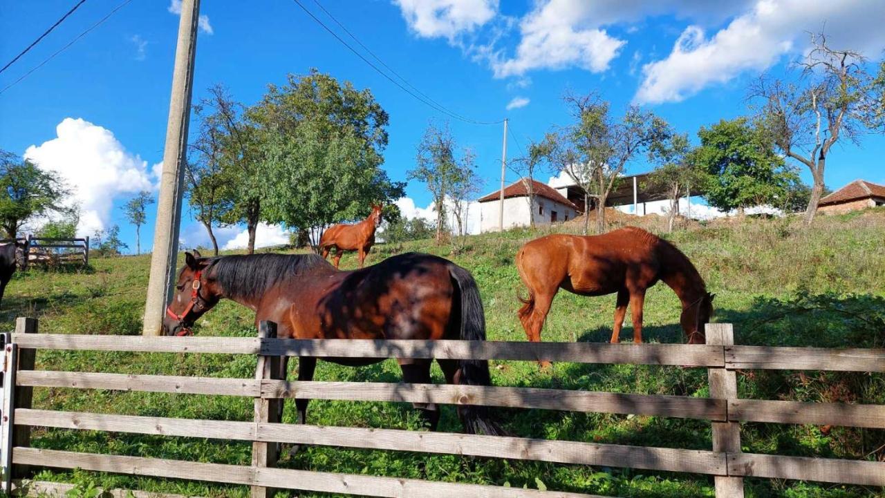 ヴァリェヴォPoljoprivredno Turisticko Domacinstvo Deguricアパートメント エクステリア 写真